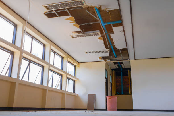 Best Water damage restoration company  in South Barrington, IL