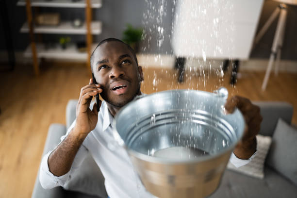 Best Flood restoration services  in South Barrington, IL