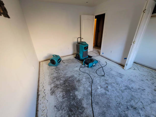 Best Basement water damage restoration  in South Barrington, IL