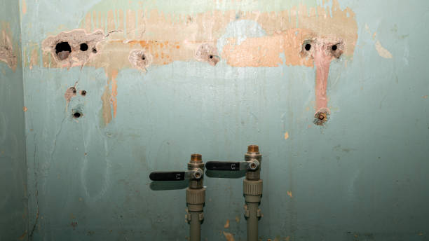 Best Water damage restoration process  in South Barrington, IL