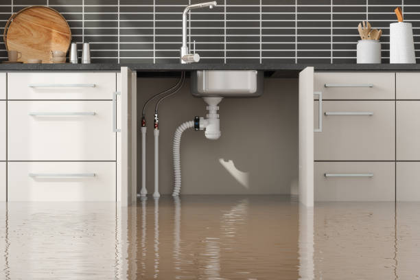 Best Flood restoration services  in South Barrington, IL