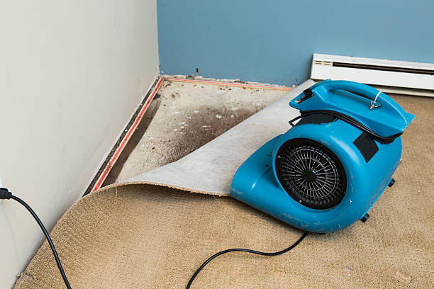 Best Water damage repair service  in South Barrington, IL